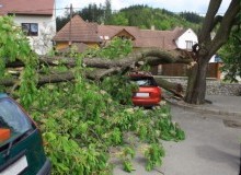Kwikfynd Tree Cutting Services
bundalong